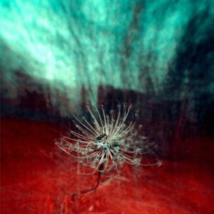 Trauer, Abschied und Trauma - Fortbildung Prozessarbeit