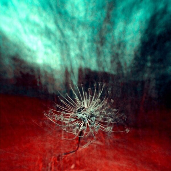 Trauer, Abschied und Trauma - Fortbildung Prozessarbeit